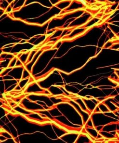 WEARABLES Running Funky Gaiters