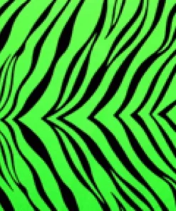 WEARABLES Running Funky Gaiters