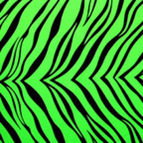 Running Funky Shorts 6 Running Funky Shorts