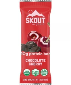 Liberty Mountain FOOD SKOUT Organic Protein Bar